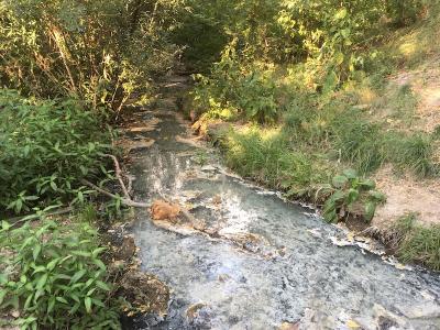 Прикрепленное изображение: IMG_9408.jpeg